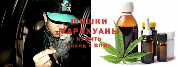 мет Арсеньев