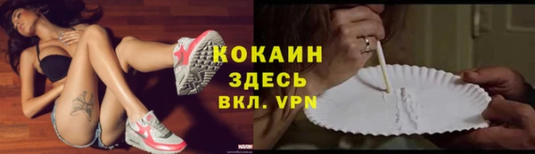 мет Арсеньев