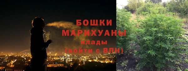 мет Арсеньев