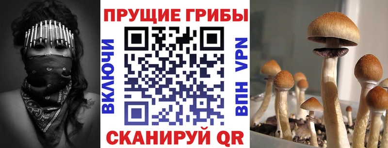 Псилоцибиновые грибы ЛСД  наркотики  Белинский 